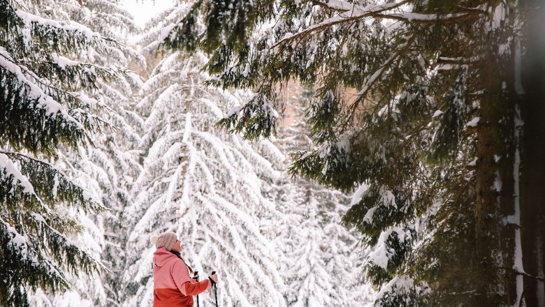 Nestelberg 17, &copy; Sabine Wieser