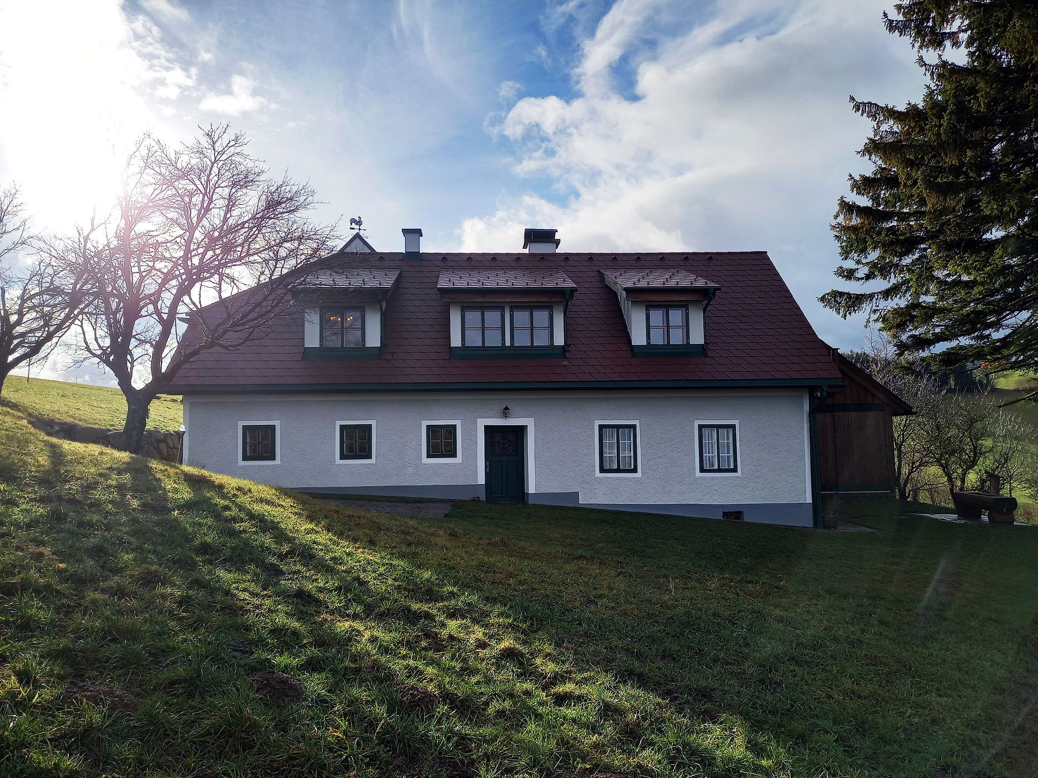 Stein im Holz Außenansicht 