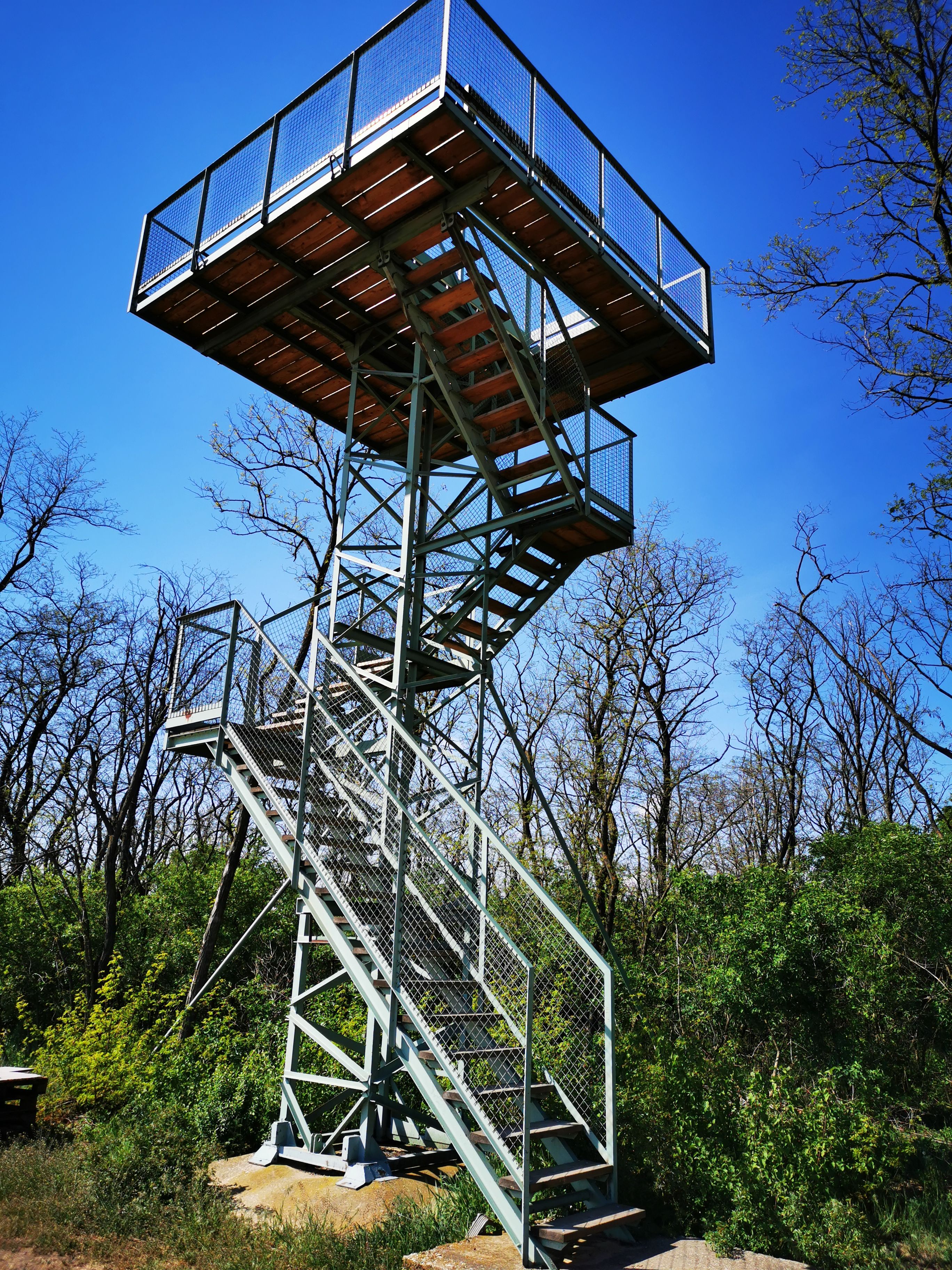 Metallturm mit Treppe in einem Waldgebiet unter blauem Himmel.