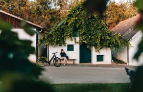 Immer den Weinreben nach, © Niederösterreich Werbung/Romeo Felsenreich