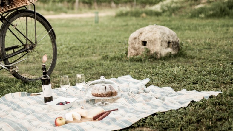 Picknickdecke mit Wein, Gl&auml;sern, Kuchen und Obst auf einer Wiese vor einem Weinberg.