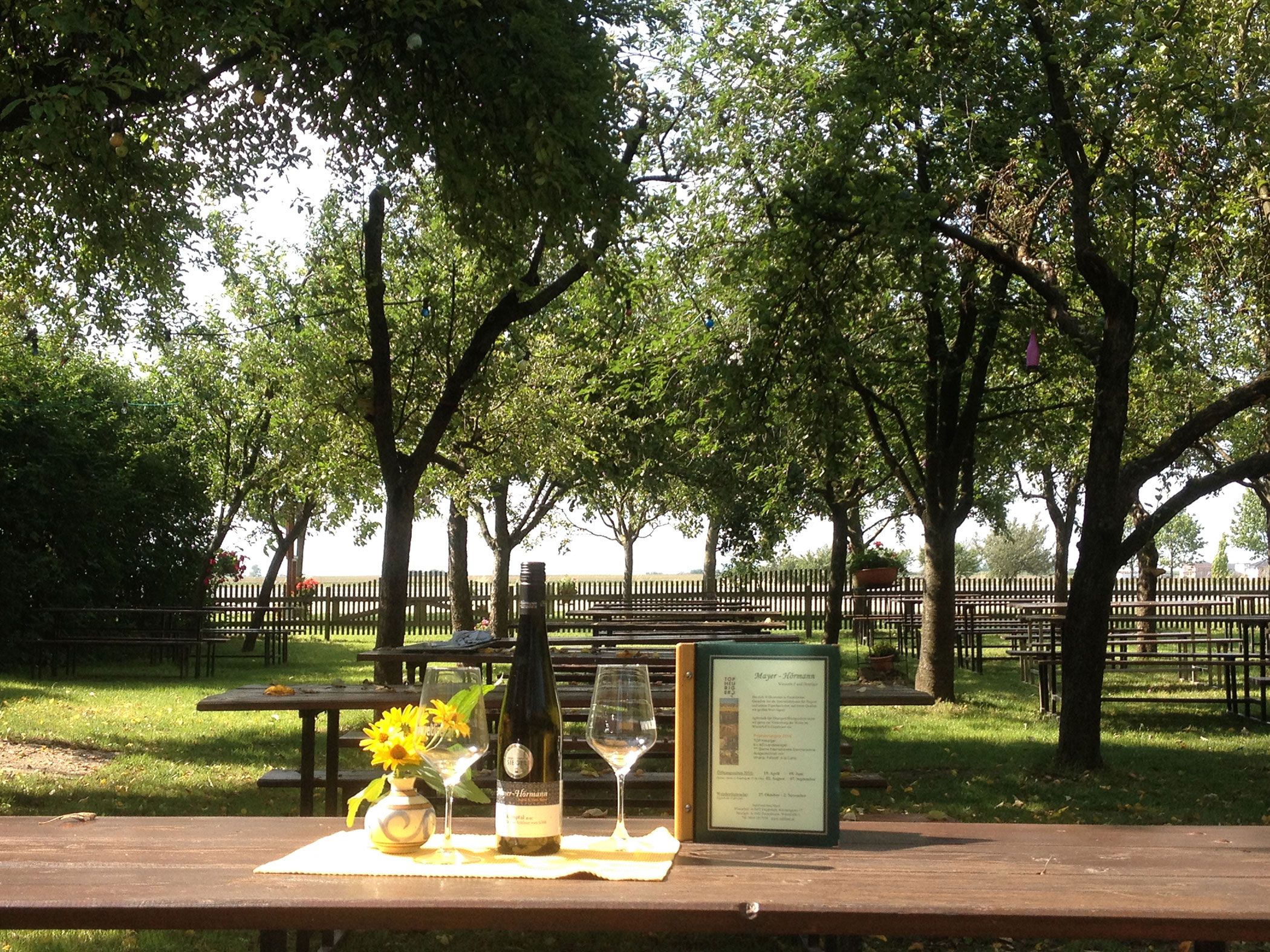 Ein Gastgarten mit Holztischen, Bäumen und einer Flasche Wein auf einem Tisch.