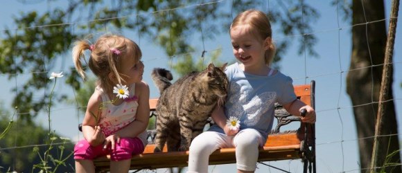 Mit der Katze auf dem Bankerl sitzen, &copy; Kerndlerhof