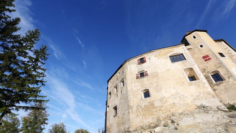 Burg Plankenstein vor blauem Himmel mit B&auml;umen im Vordergrund.