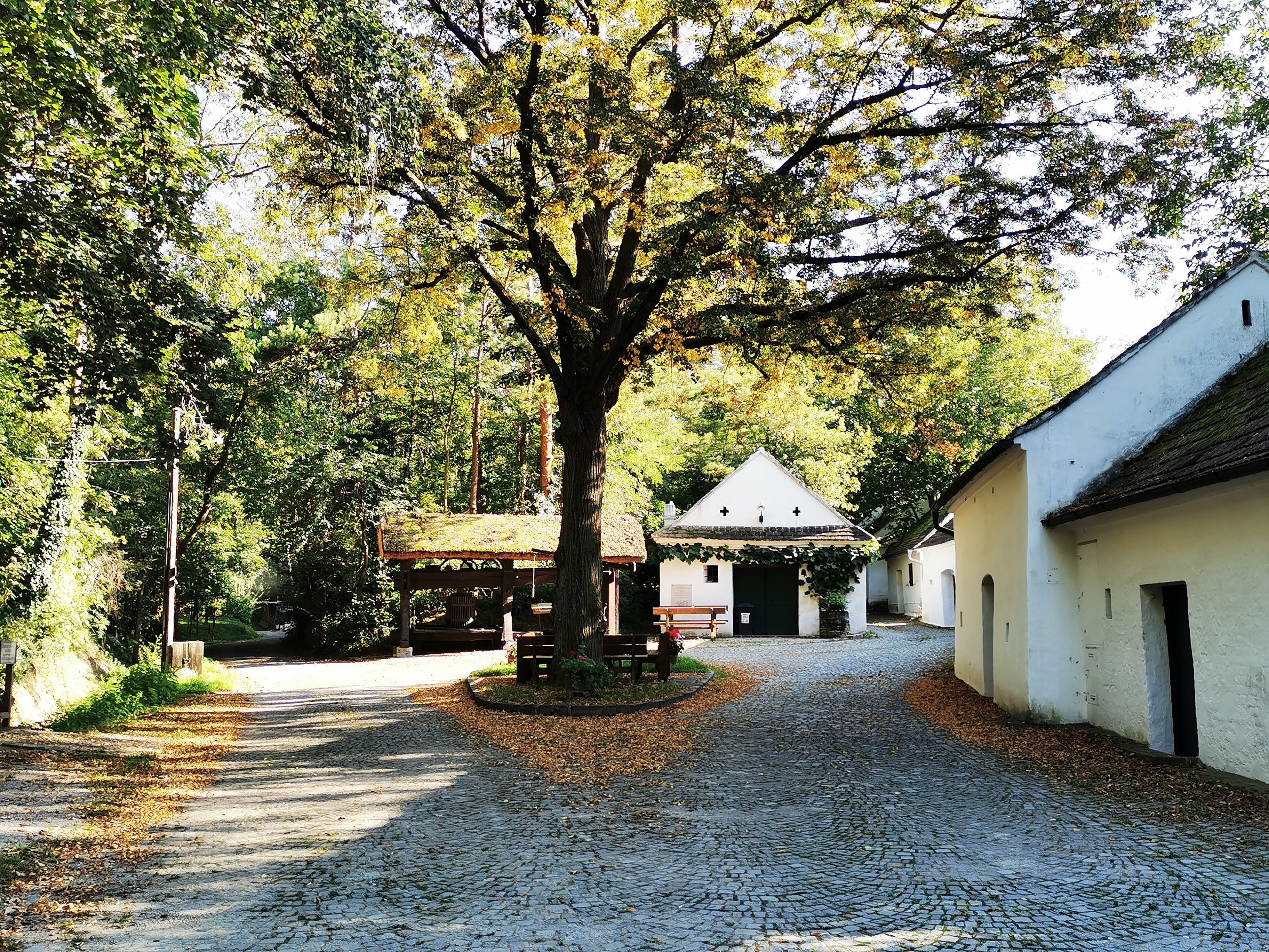 Idyllischer Platz in Raschala mit Kopfsteinpflaster, Bäumen und weißen Gebäuden.