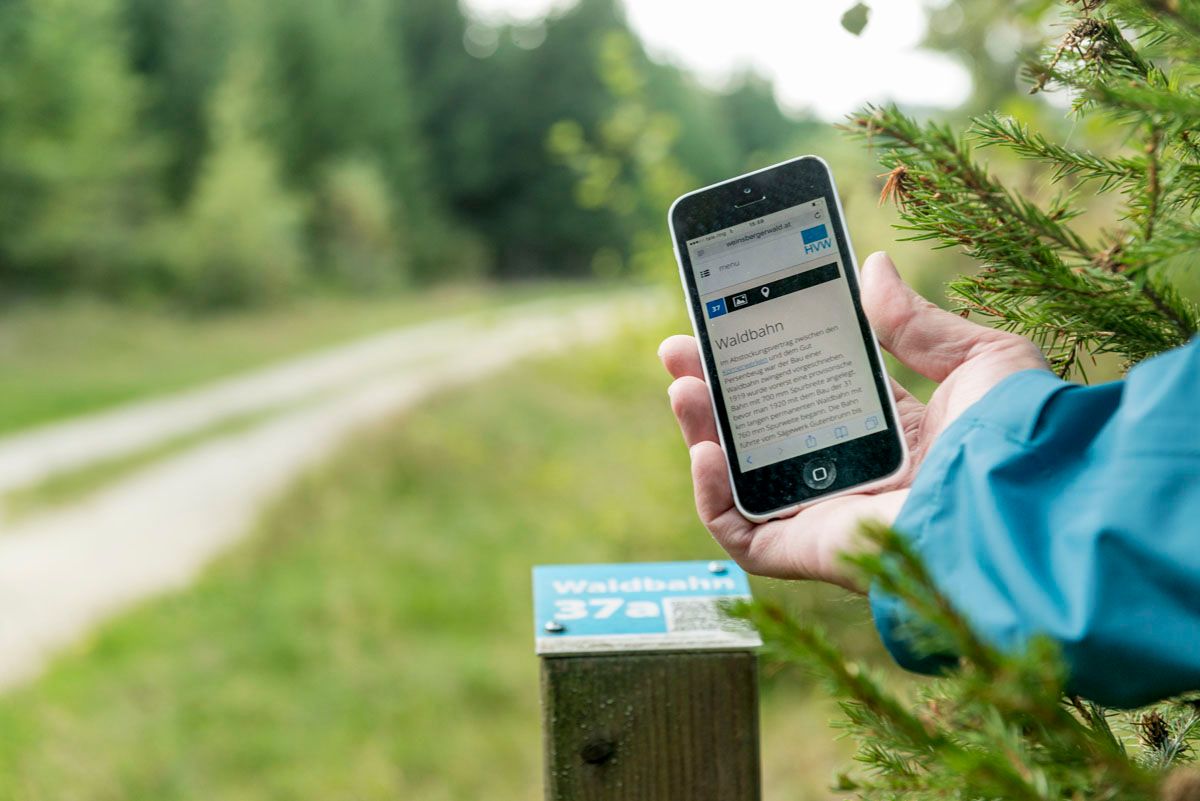 Person hält Smartphone im Wald, zeigt Informationen zur Waldbahn an.