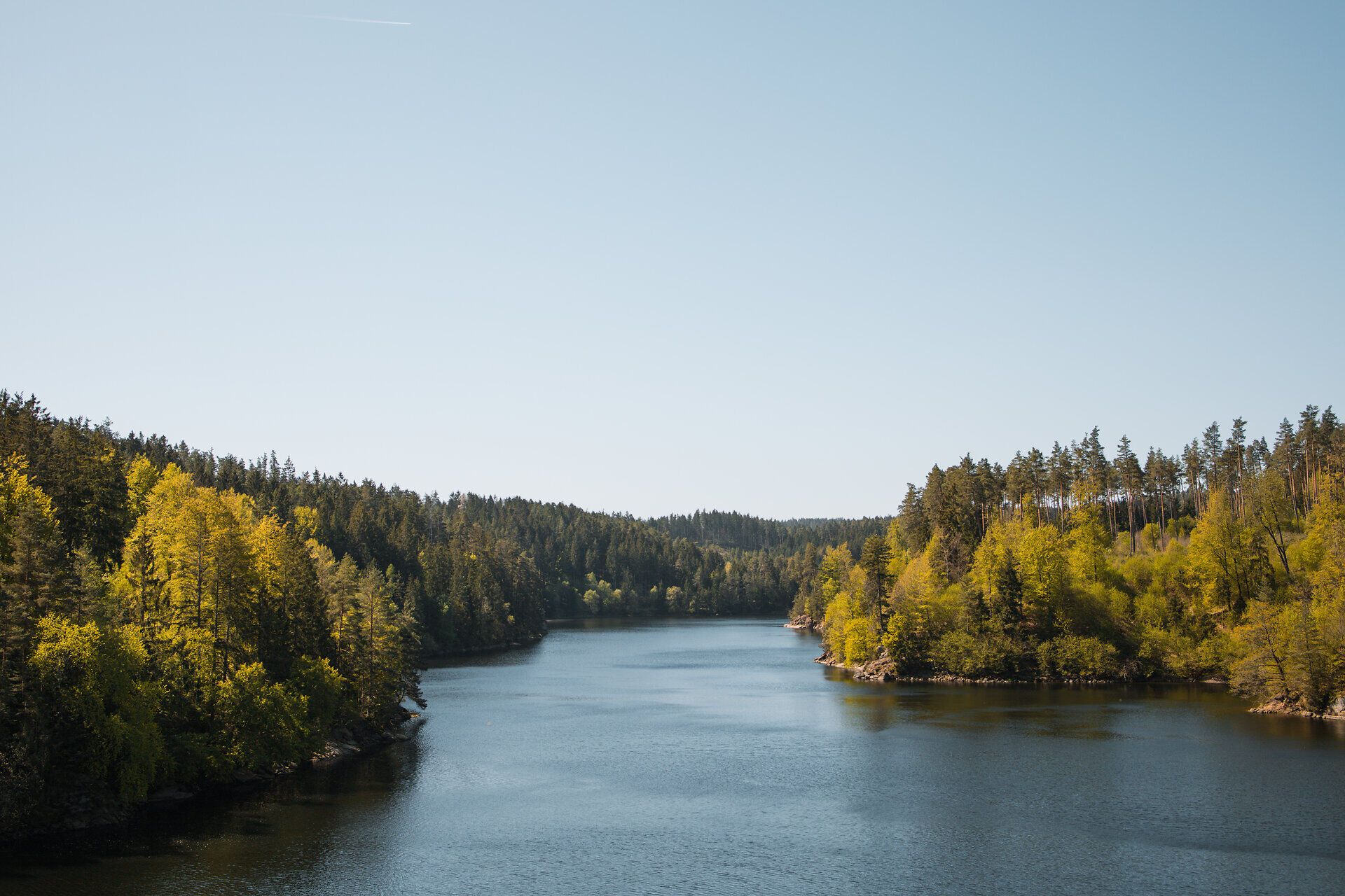 Die sanften Wellen des Stausees Ottenstein spiegeln die üppige grüne Landschaft wider, während die Sonne am klaren Himmel strahlt. Umgeben von dichten Wäldern und sanften Hügeln lädt dieser Ort dazu ein, die Ruhe der Natur zu genießen und die frische Luft beim Radfahren zu erleben.