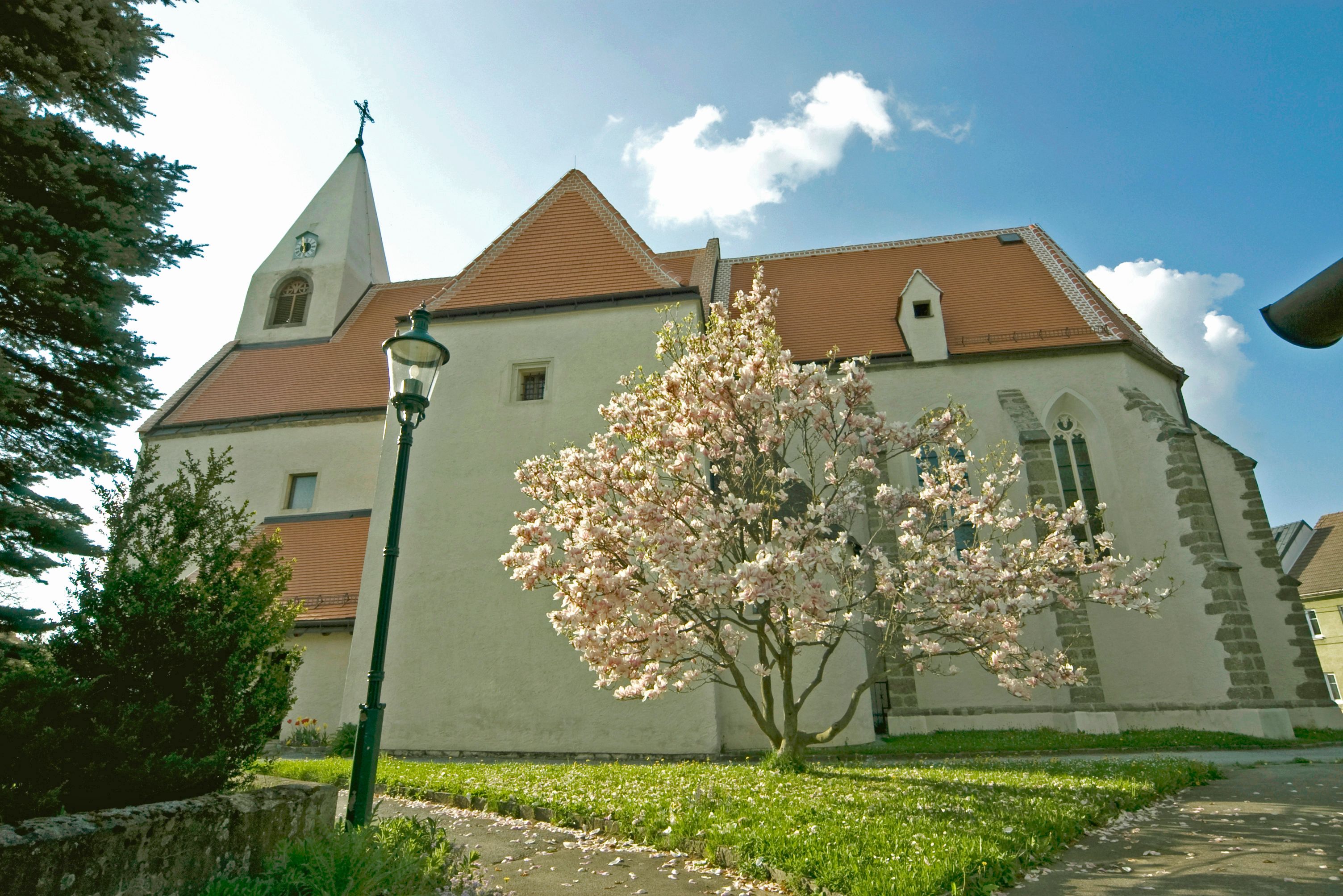 Pfarrkirche Maria Himmelfahrt mit blühendem Baum im Vordergrund.
