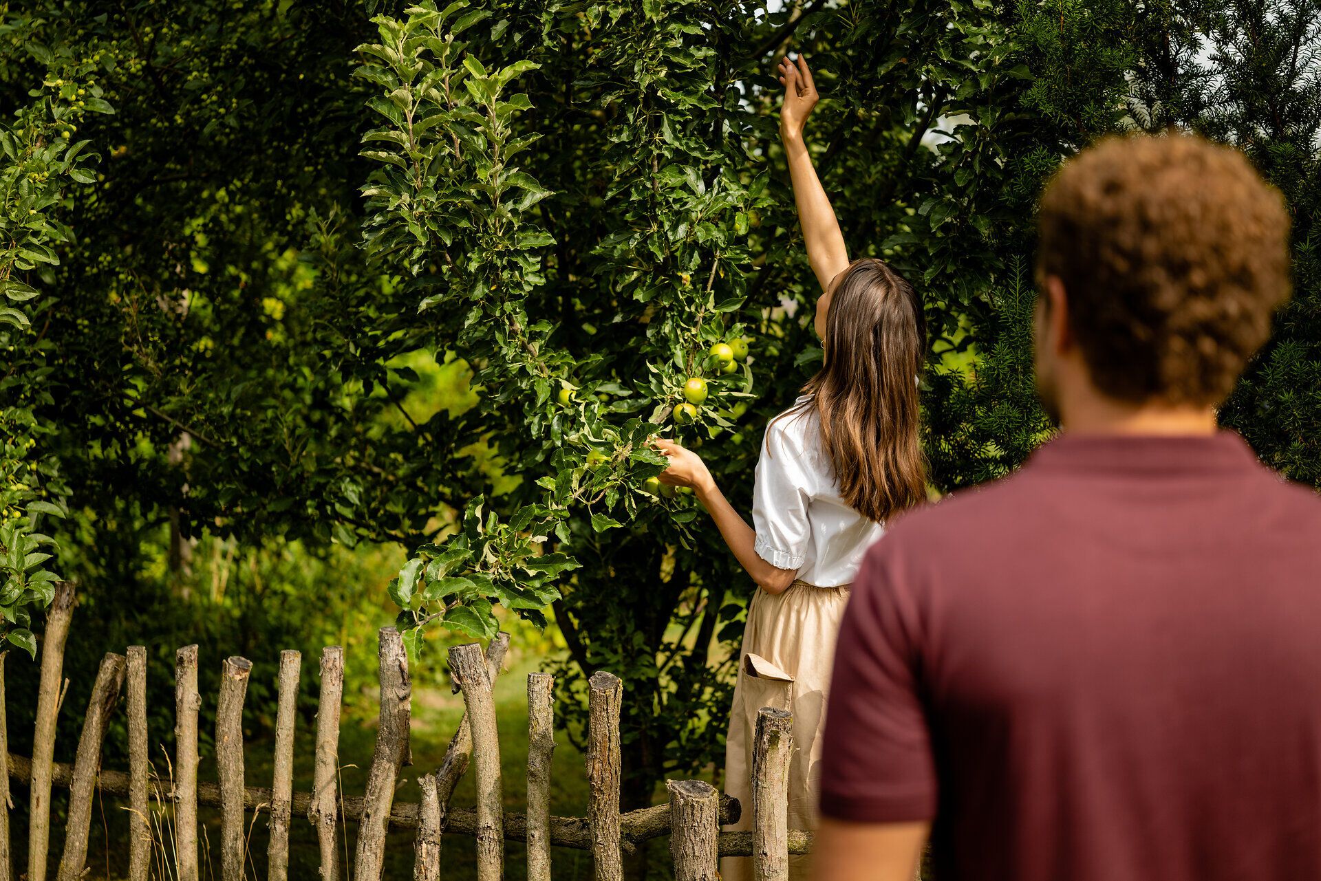 Inmitten eines üppigen Gartens erntet eine junge Frau frische Äpfel von einem prächtigen Apfelbaum. Die warmen Sonnenstrahlen tauchen die Szene in ein goldenes Licht und schaffen eine einladende Atmosphäre, die zum Verweilen einlädt.