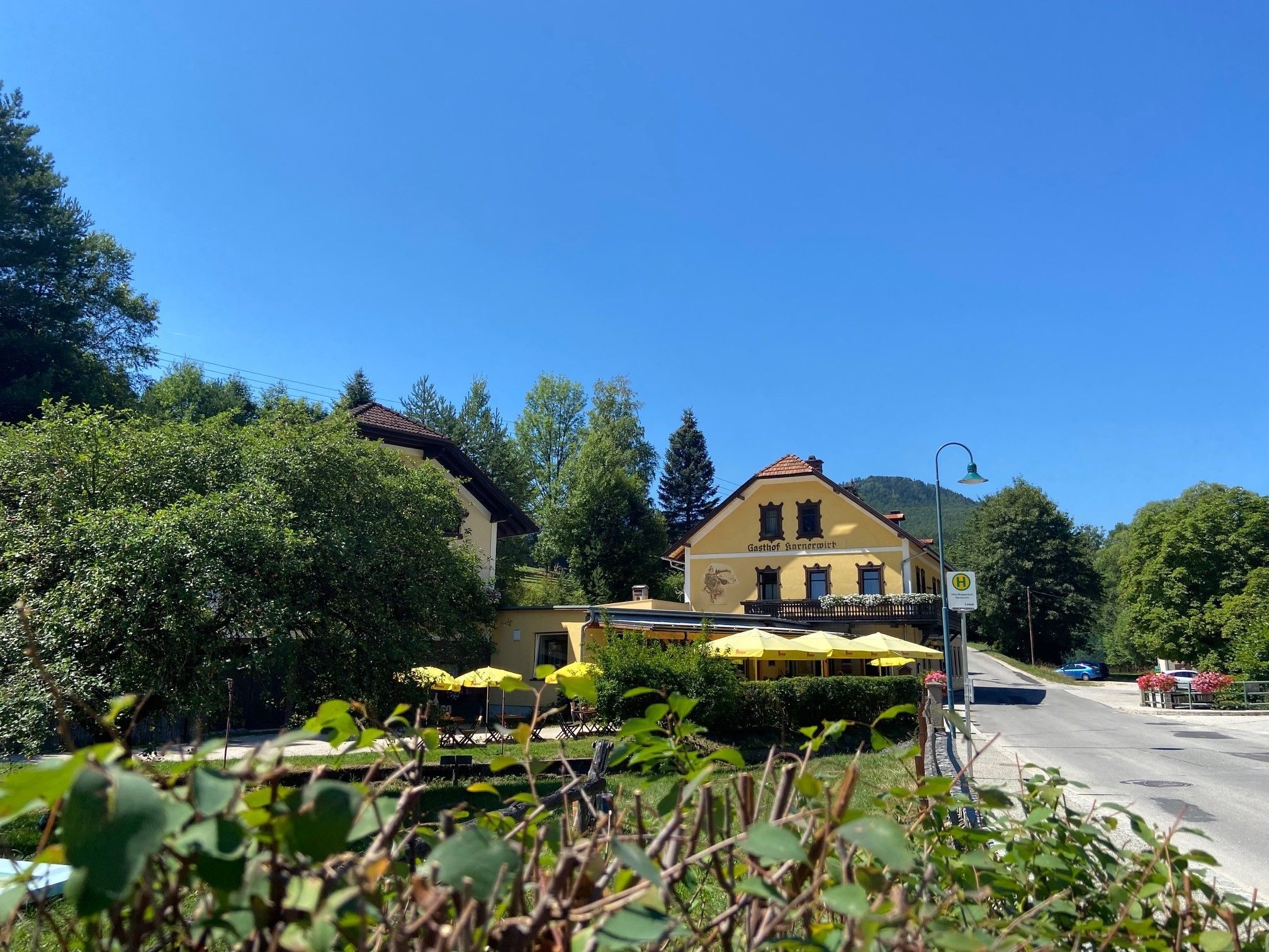 Ein gelbes Gasthaus mit Terrasse und Sonnenschirmen, umgeben von Bäumen und einer Straße.
