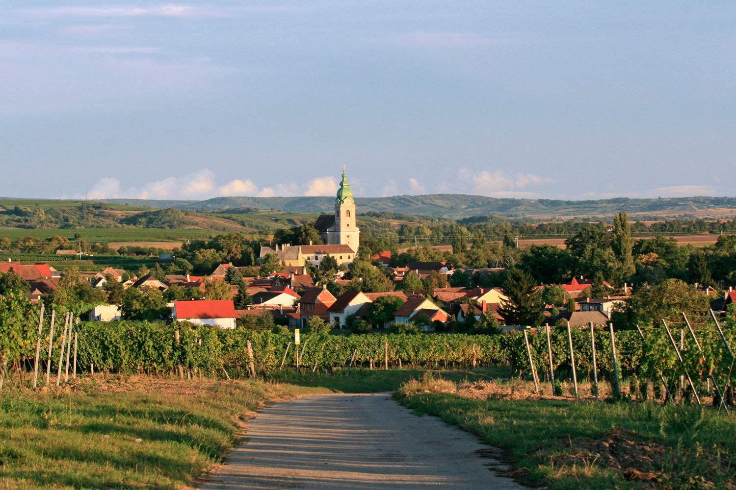 Blick auf das Dorf Unterretzbach mit Kirche und Weinbergen im Vordergrund.