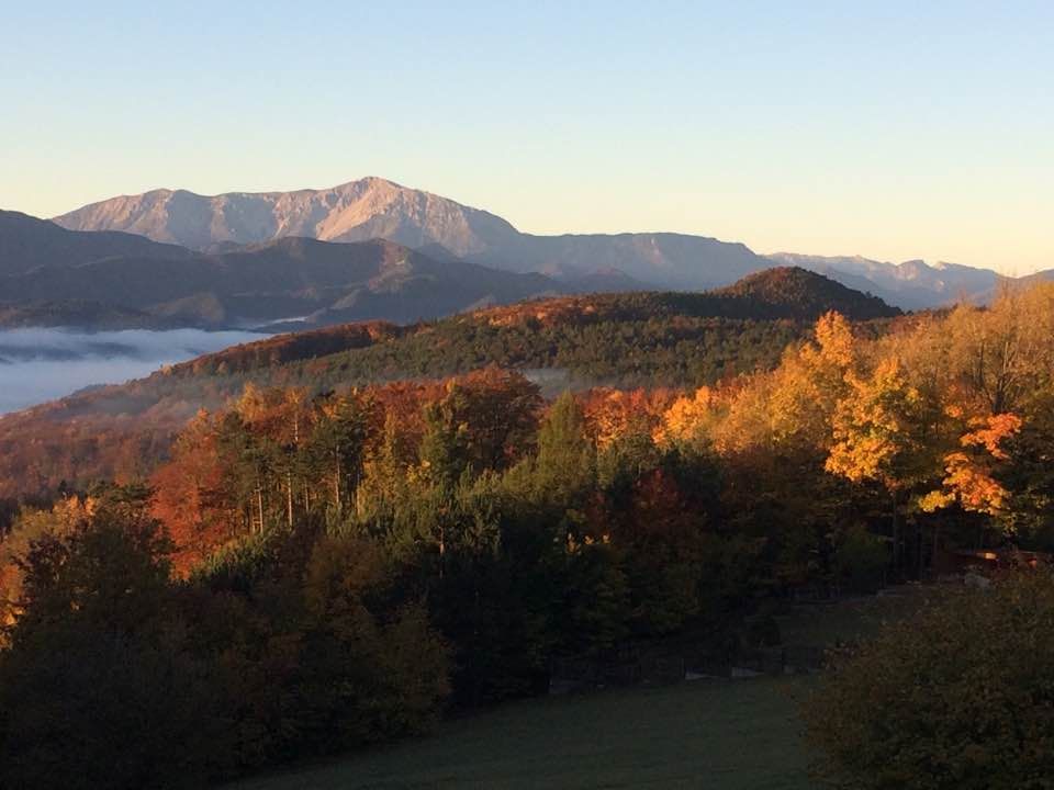 Herbstlandschaft mit bunten Bäumen und Bergen im Hintergrund bei Sonnenaufgang.