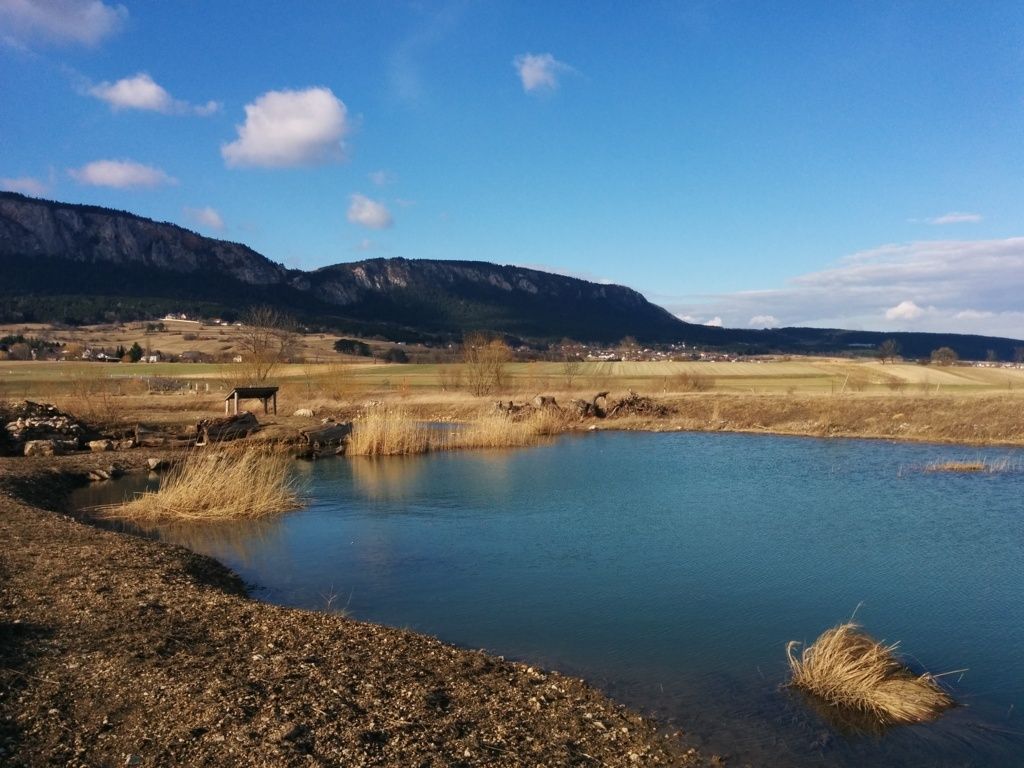 Ein kleiner Teich in einer ländlichen Landschaft mit Bergen im Hintergrund unter einem blauen Himmel.