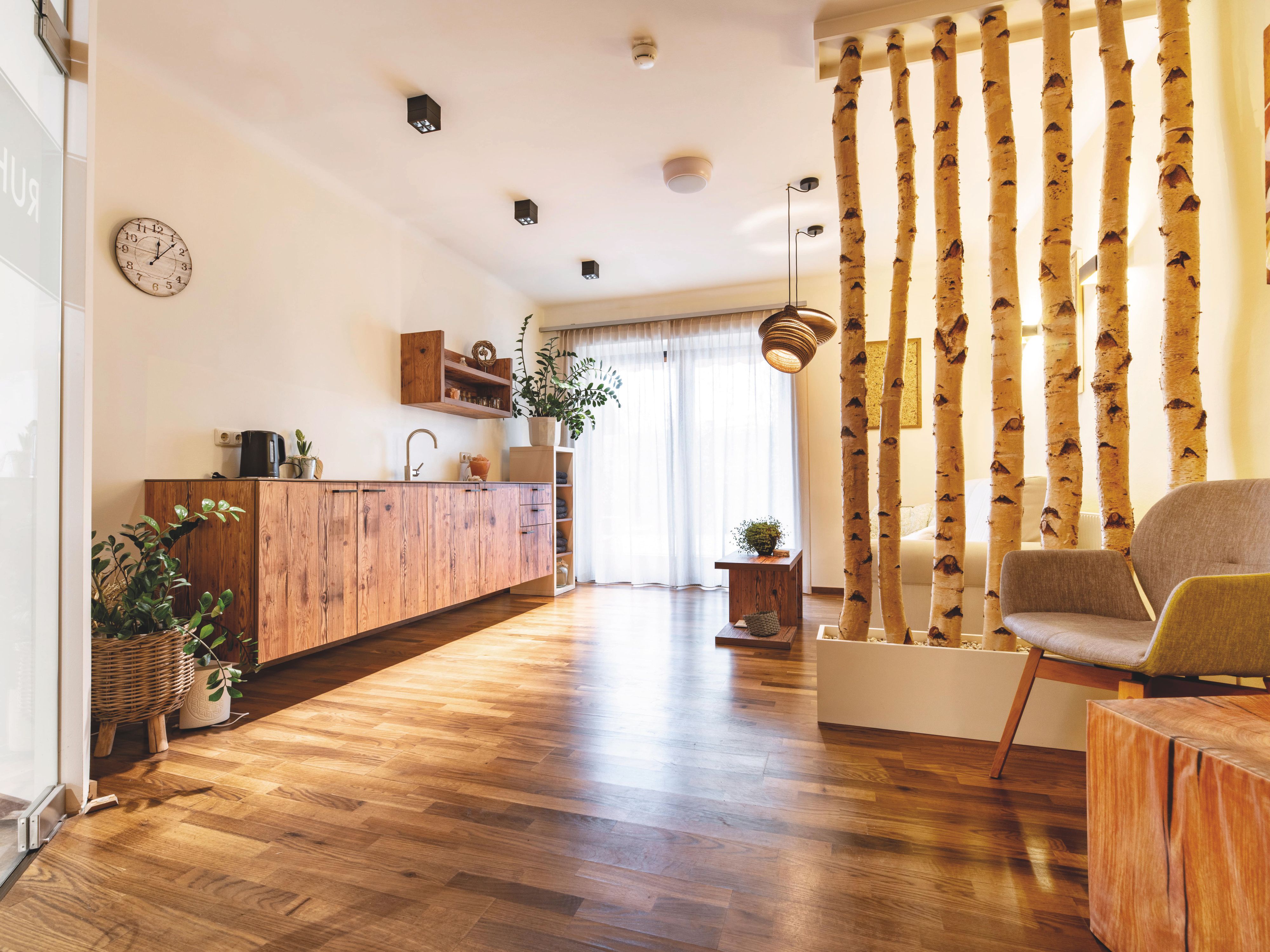 Ein modern eingerichteter Raum mit Holzboden, Sitzgelgenheiten und Birkenstämmen als Raumteiler.