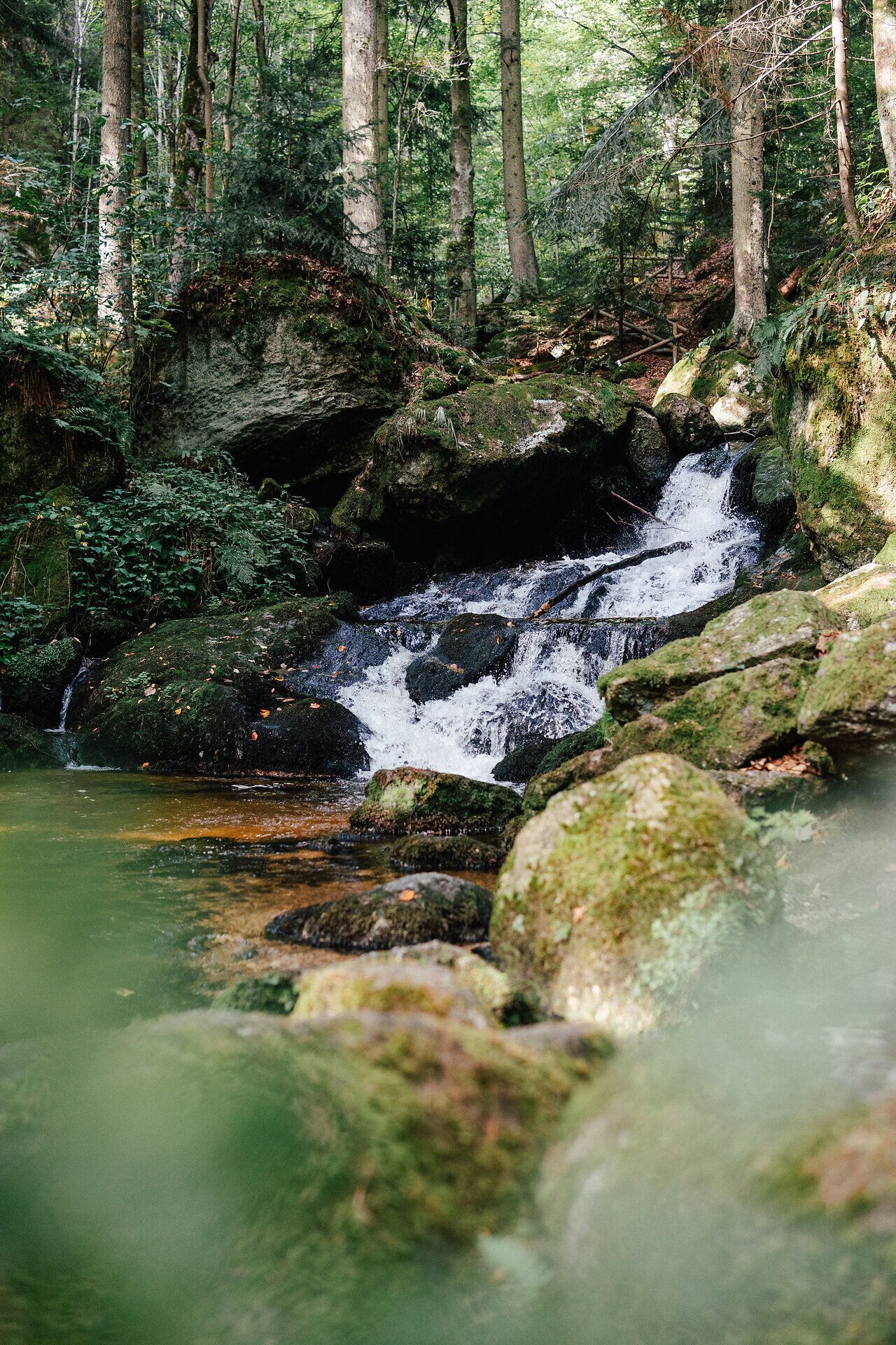 Wandern, Yspertal, Ysperklamm, Druidenweg, südliches Waldviertel