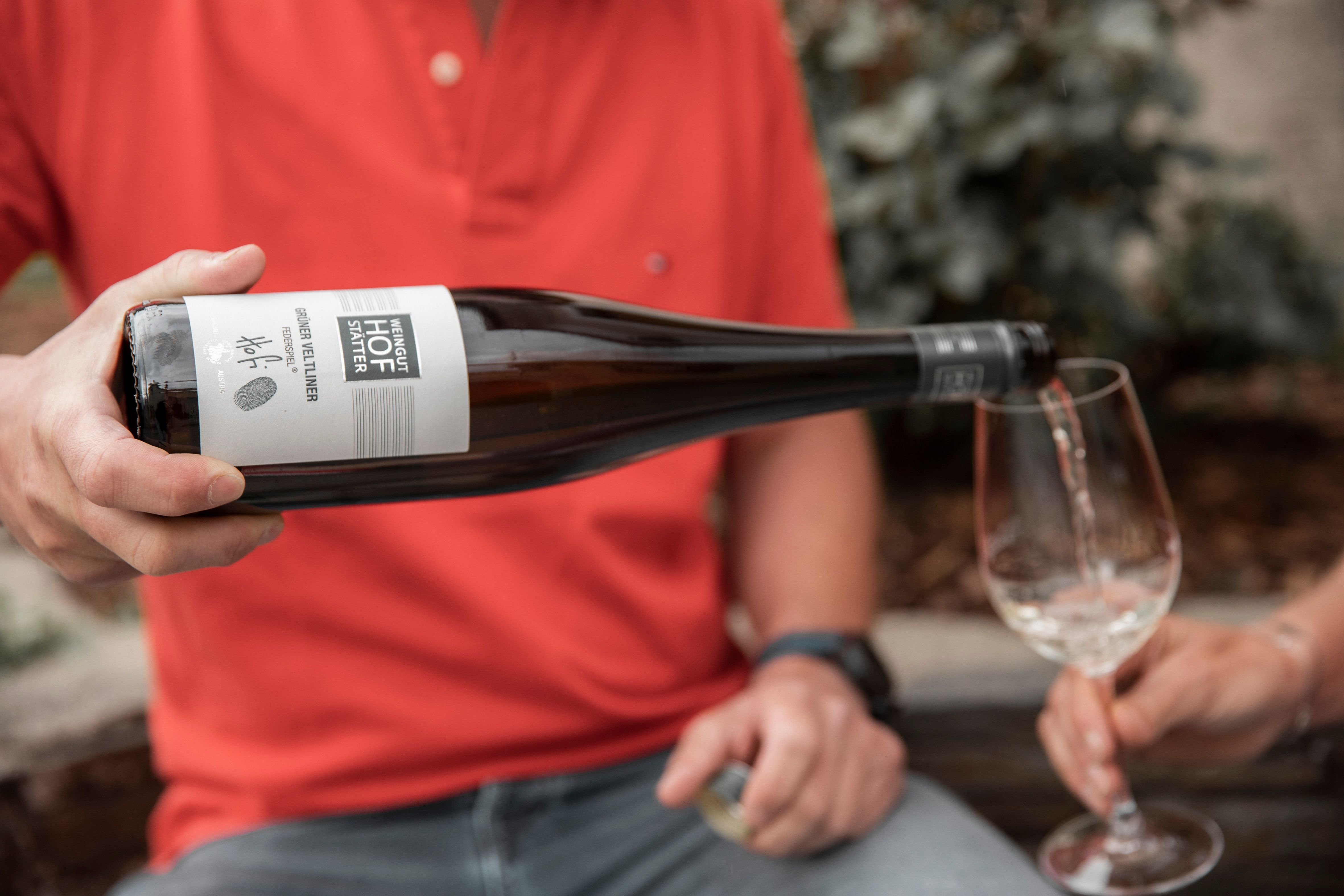 Weingut Hofstätter