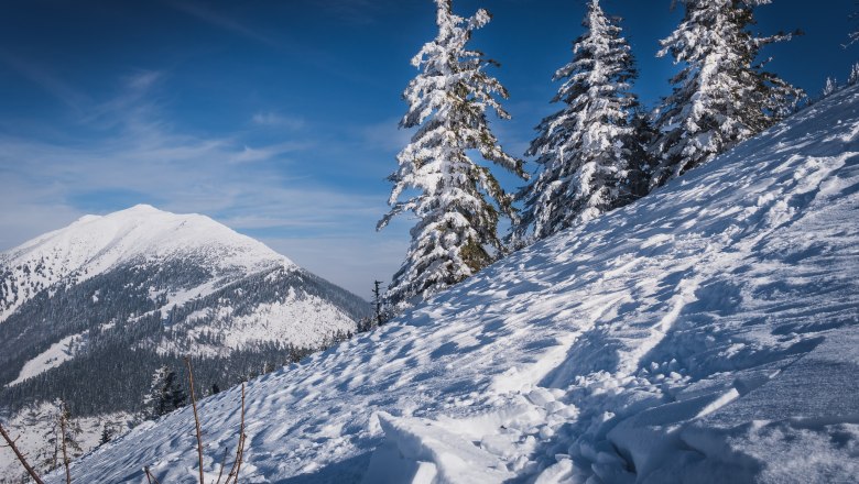 Winterstimmung, © Gerald Demolsky