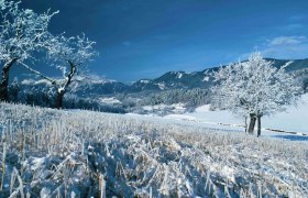 Prigglitz im Winter, © Gemeinde Prigglitz