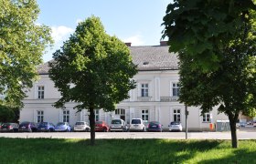 Ein weißes Gebäude mit der Aufschrift 'Museum', umgeben von Bäumen und parkenden Autos.