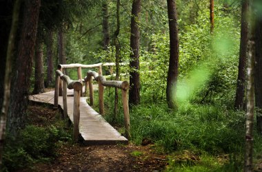 Naturpark Heidenreichsteiner Moor, &copy; Waldviertel Tourismus, weinfranz