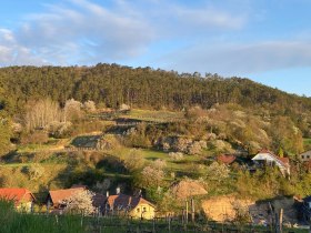 Aufbl&uuml;hende Weinlandschaften, &copy; Walter Pernikl