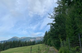 Wanderweg zur Speckbacherhütte, © Wiener Alpen in Niederösterreich