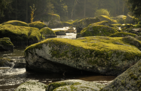 Fluss mit moosbedeckten Felsen im Kamptal.