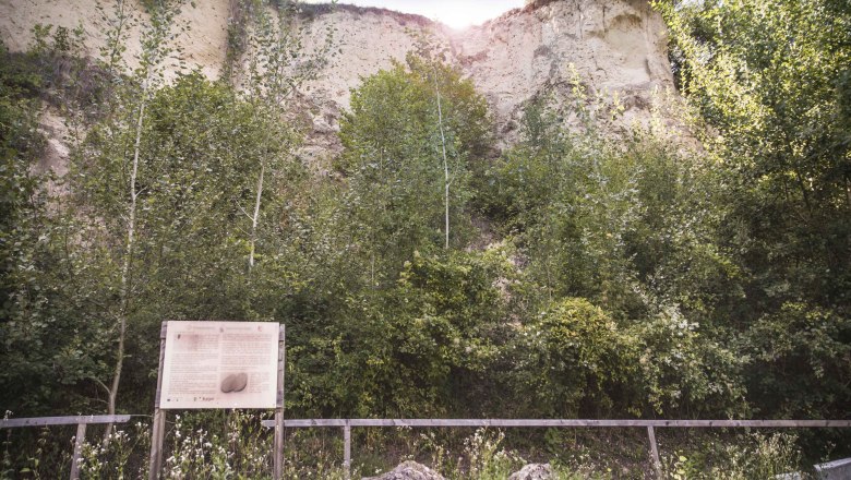 Infotafel am Themenweg, © Daniela Matejschek