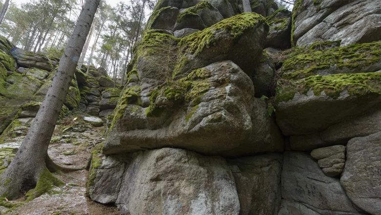 Moosbedeckte Felsformationen im Wald bei Groß Schönau.