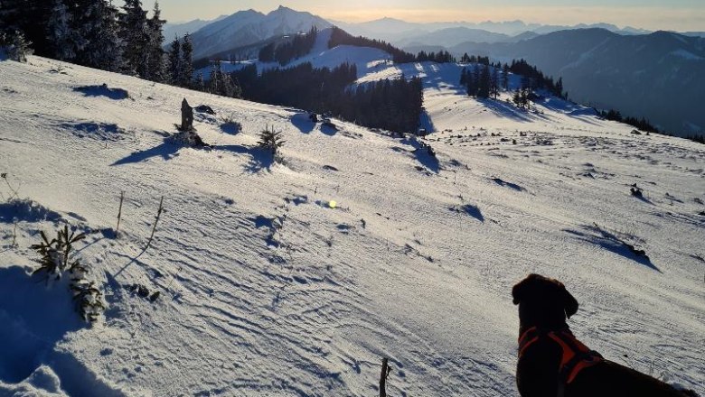 Skitour auf Siebenh&uuml;tten, &copy; Martin Bachner_Happy Nest