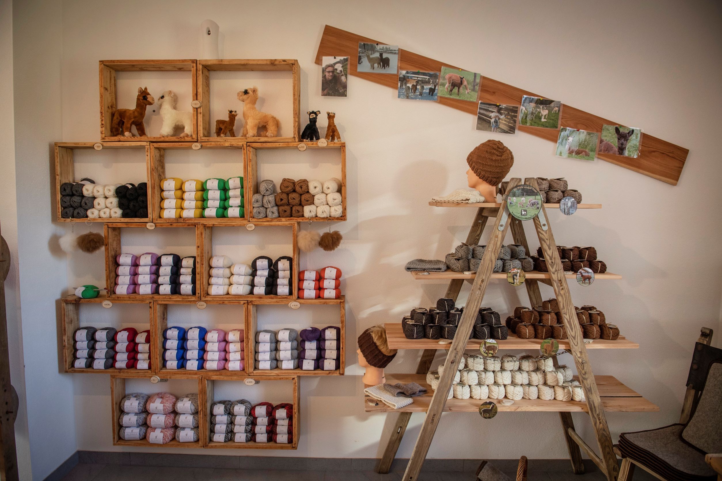 Innenansicht eines Hofladens mit Alpakawolle und Strickwaren.