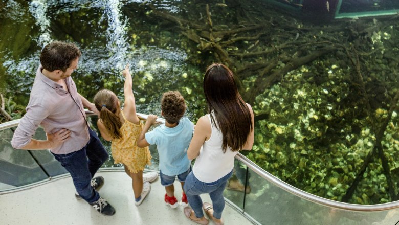 Ferienspa&szlig; im Museum Nieder&ouml;sterreich, &copy; Nieder&ouml;sterreich-CARD/schwarz-koenig.at