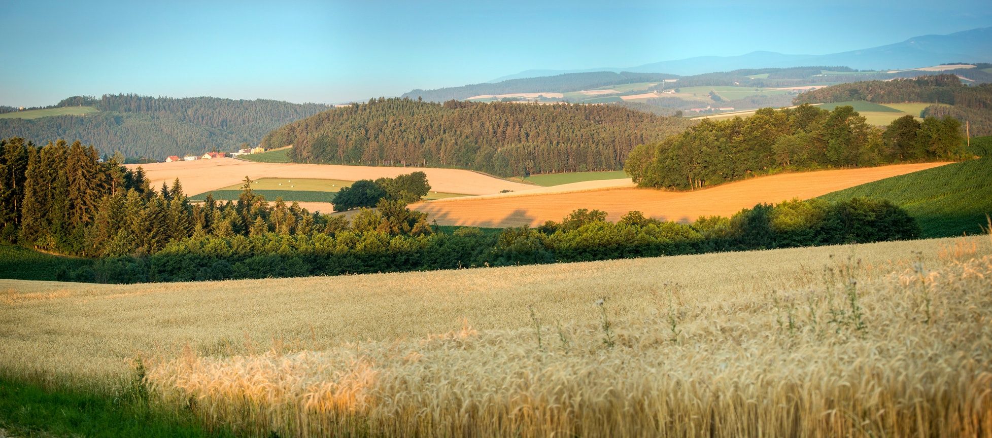 Beistein bei Wiesmath