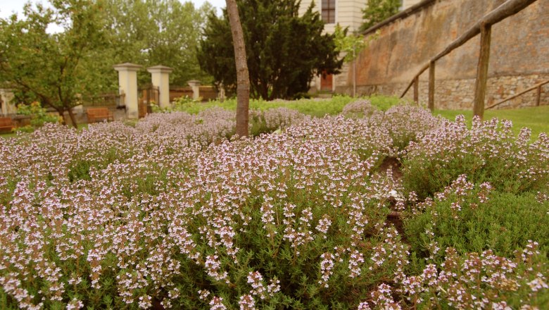Garten im Stift G&ouml;ttweig, &copy; Eveline Gruber