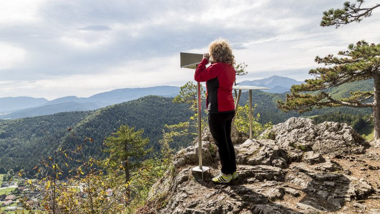 Person auf einem Aussichtspunkt mit Fernglas, umgeben von Bergen und Wald.