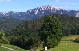 gippel, &copy; Tourismus St. Aegyd