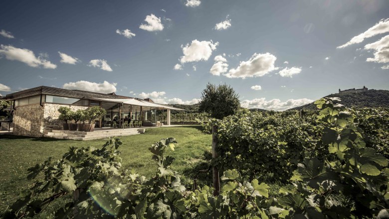 MALAT Weingut und Hotel, &copy; MALAT Weingut und Hotel