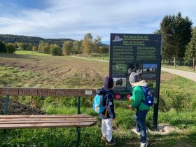 Hoidaweg, &copy; Moorbad Harbach