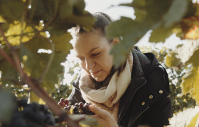 Treffen sich Zwei Weinherbst, &copy; We Make Stories