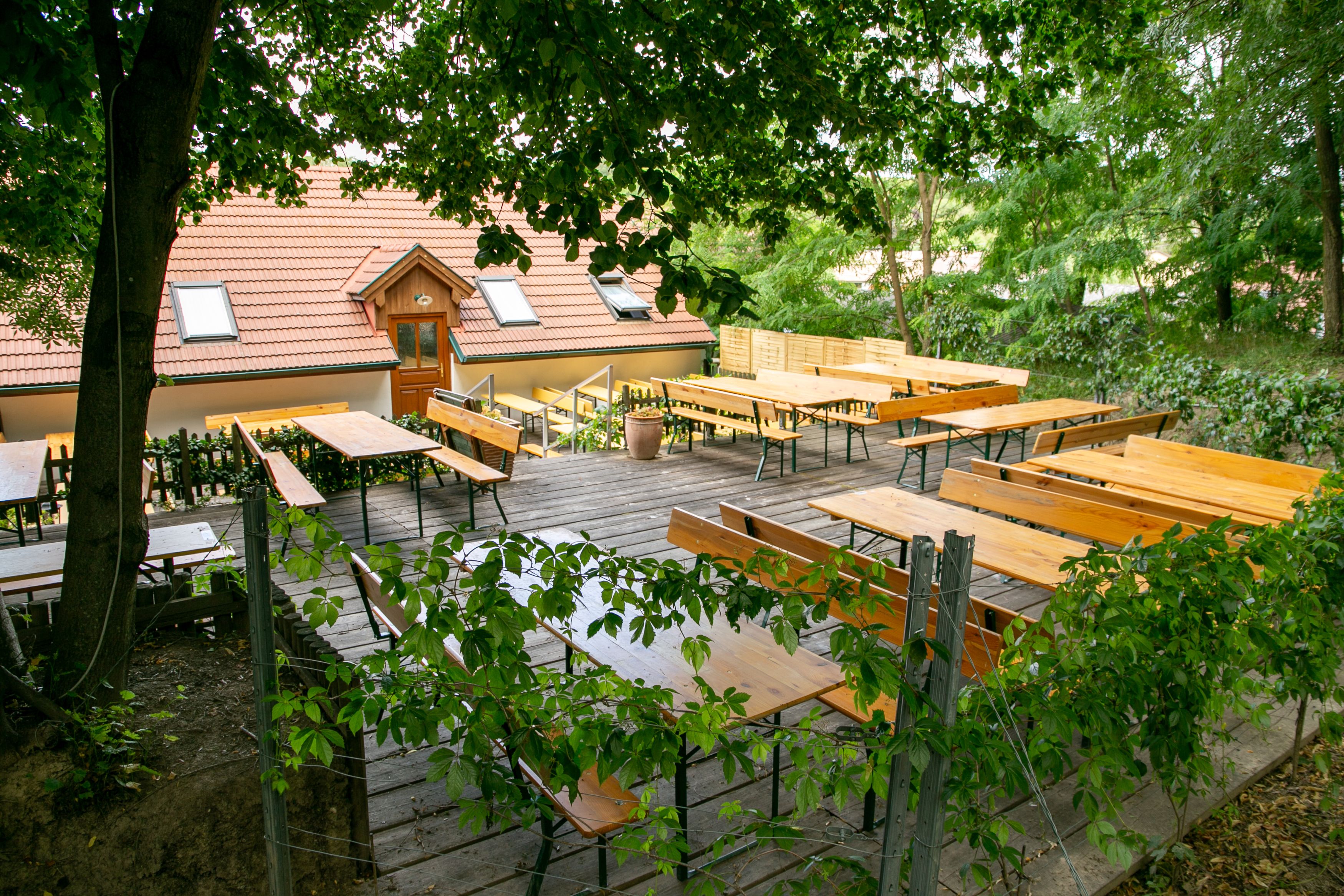 Ein leerer Biergarten mit Holzbänken und Tischen, umgeben von Bäumen und einem Gebäude mit rotem Dach im Hintergrund.