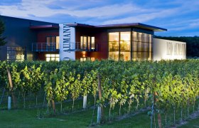 Weingut Leo Aumann bei D&auml;mmerung mit beleuchtetem Geb&auml;ude und Weinreben im Vordergrund.