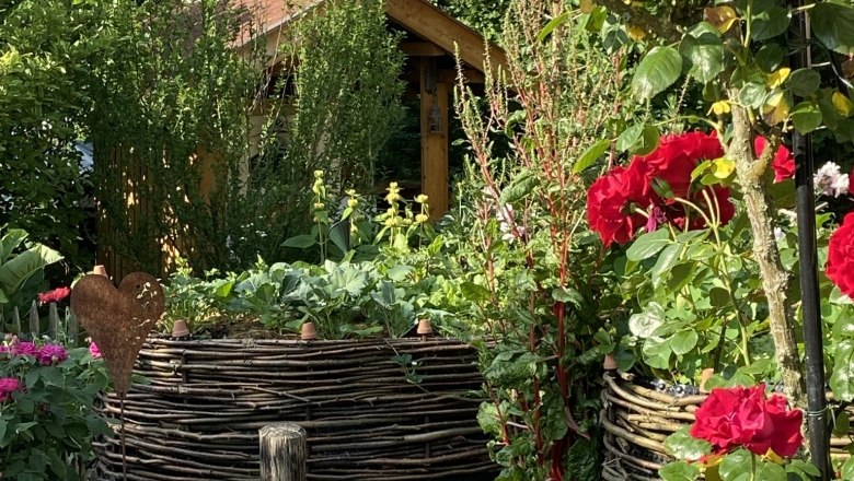 Ein Garten mit roten Rosen, geflochtenen Beeten und einem kleinen Holzhaus im Hintergrund.