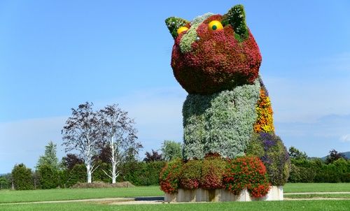 Große Katzenfigur aus bunten Blumen auf einer Wiese.