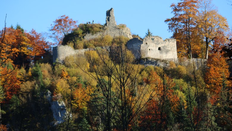 Ruine der Burg Hohenberg umgeben von herbstlichen Bäumen.