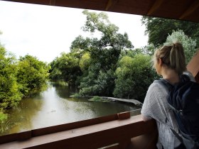 Ein ruhiger Moment am Ufer eines sanft flie&szlig;enden Gew&auml;ssers, umgeben von &uuml;ppigem Gr&uuml;n und majest&auml;tischen B&auml;umen. Die friedliche Atmosph&auml;re l&auml;dt dazu ein, die Natur in ihrer vollen Pracht zu genie&szlig;en und den Alltag hinter sich zu lassen.