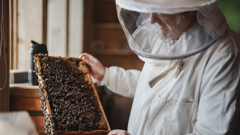 Die Zeidler, &copy; Moststra&szlig;e, dochbodnliacht