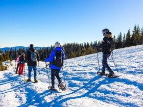 Schneeschuhwandern auf der Rax, &copy; Wiener Alpen in Nieder&ouml;sterreich - Semmering Rax