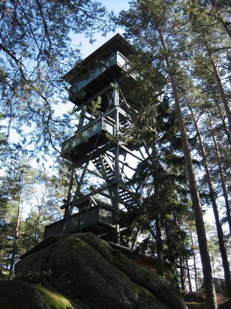 Holzturm im Wald mit mehreren Plattformen und Treppen.