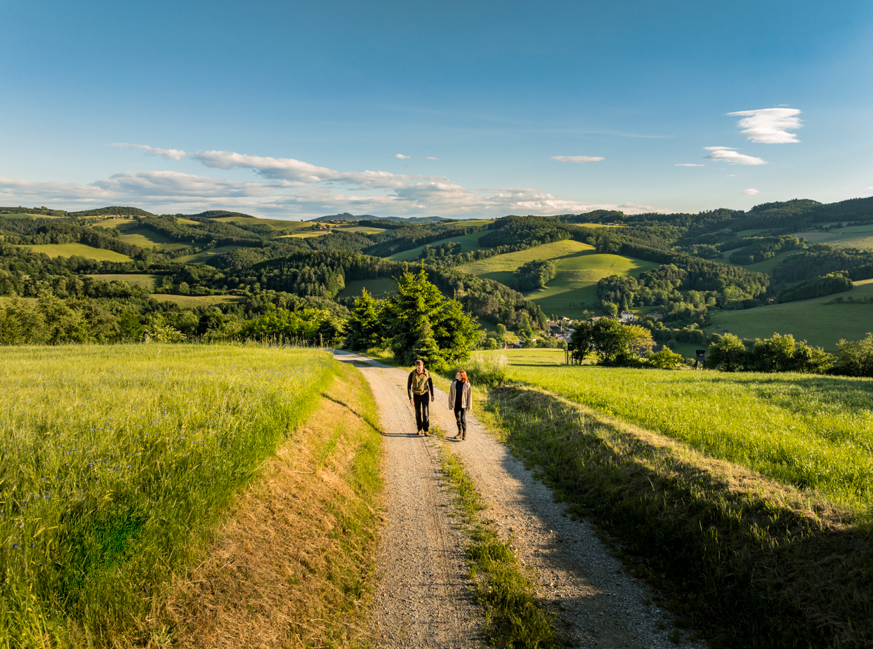 Mann und Frau gehen einen Feldweg entlang, umgeben von Wiese und Wald