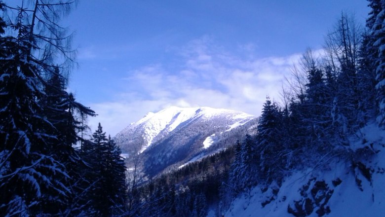 Ausblick Ferienwohnung Bernreiter, &copy; Fam. Bernreiter